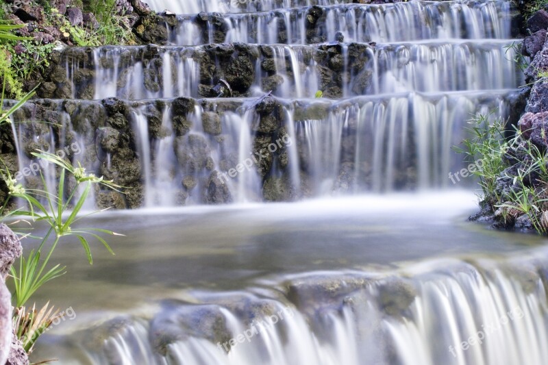 Water Waterfall Nature Vegetation River