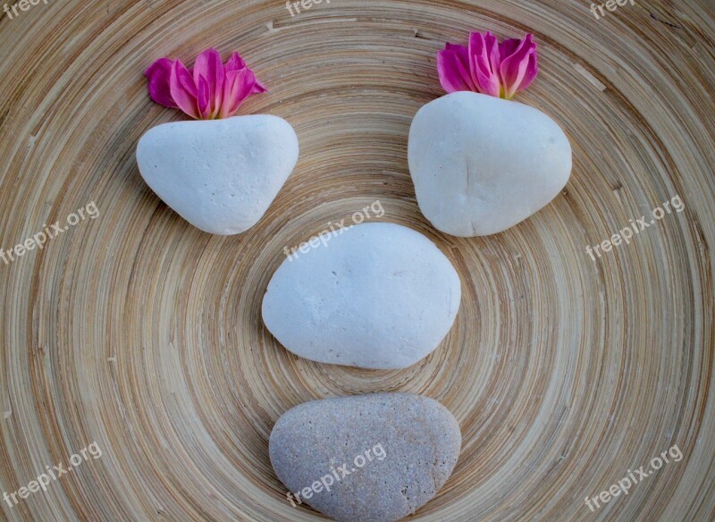 Funny Face Fun Stones Petals Rosa