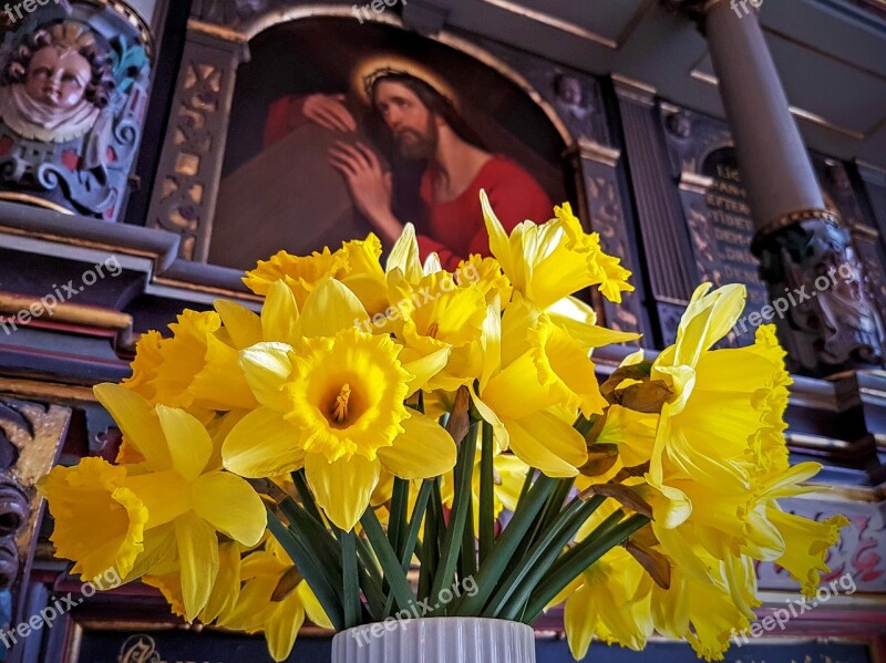 Easter Daffodil Altar Crucifixion Høje Taastrup