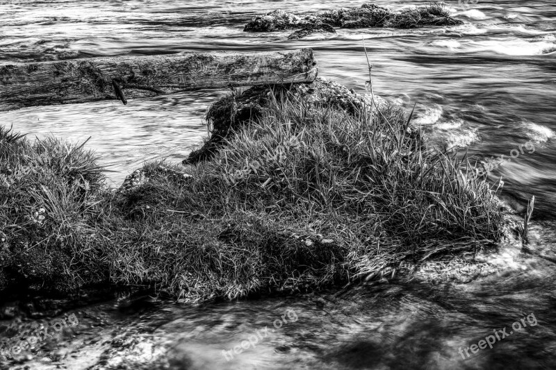 Dramatic Water Grass Grasses Nature