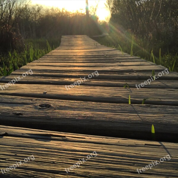 Boardwalk Sunset Sun Nature Landscape