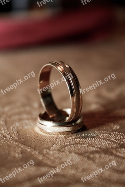 Wedding Marriage Rings Hoops Family