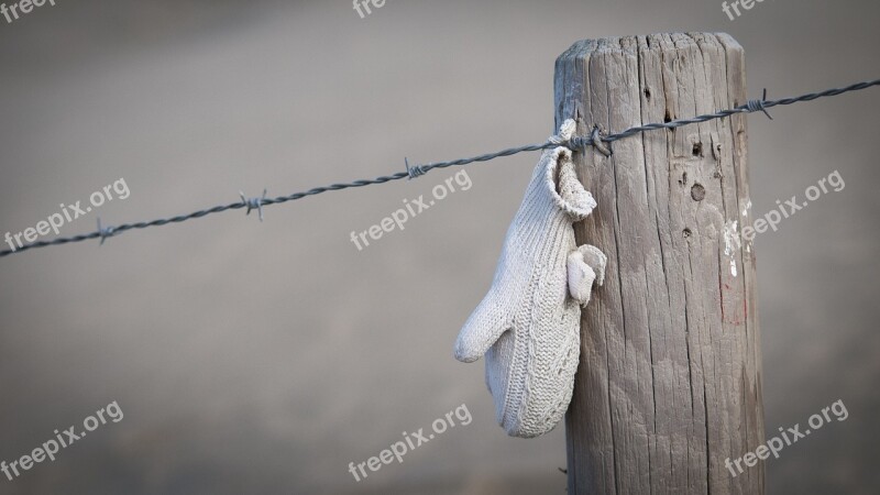 Beach Winter Glove Because Coast