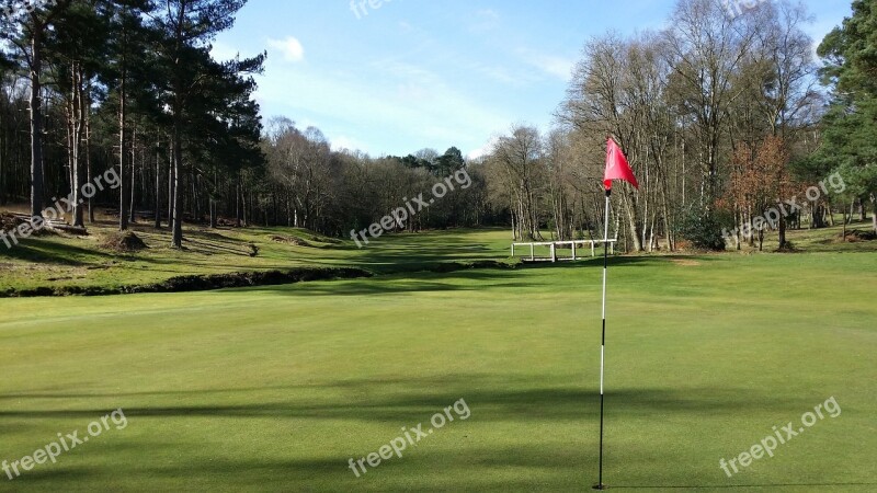 Golf Green Grass Golfing Golfball