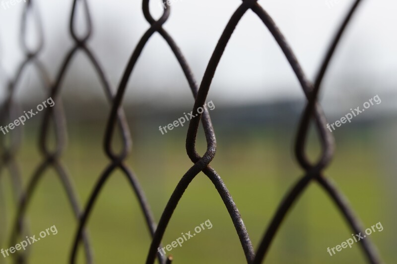 Fence Rusty Rusted Metal Rust