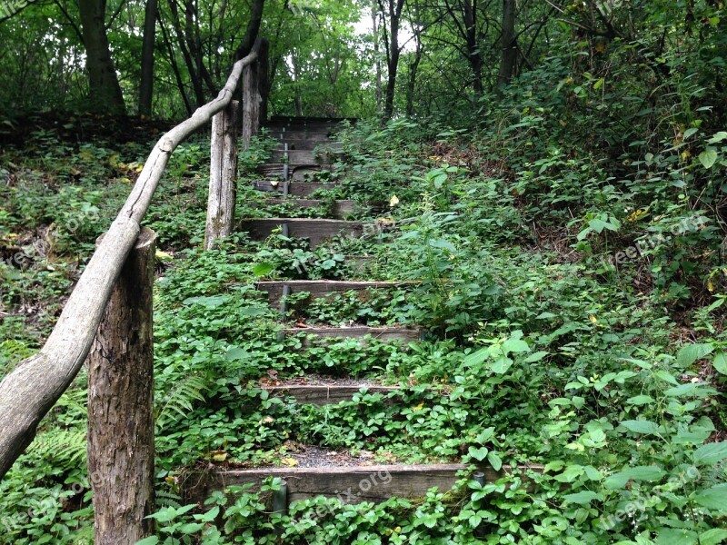 Forest Stairs Forest Staircase Forest Path Nature