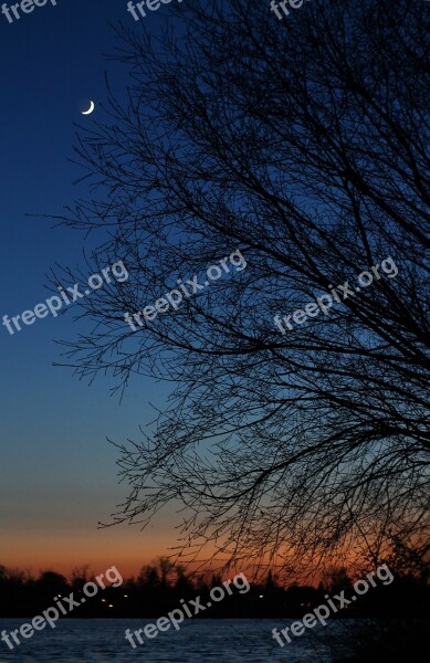 Sunset Moon Sky Wood Landscape