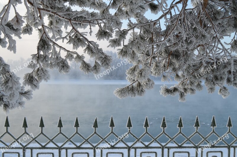 River Winter Siberia Landscape Trees