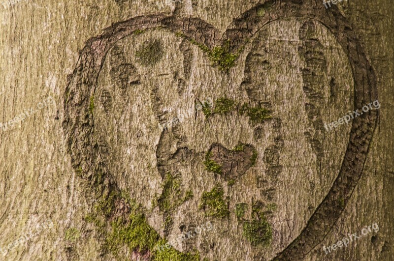 Bark Tree Heart Brown Nature