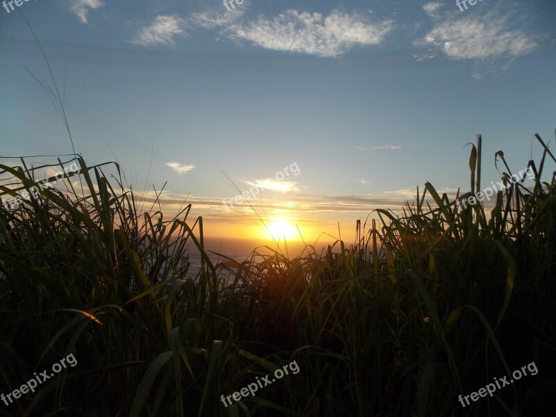 Sol Light Mato Green Sunset