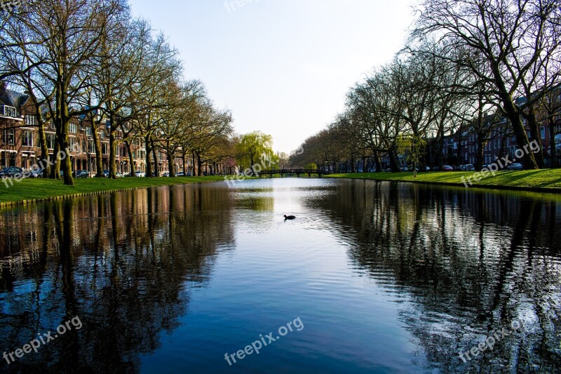 Rotterdam River Riverside Water Reflection