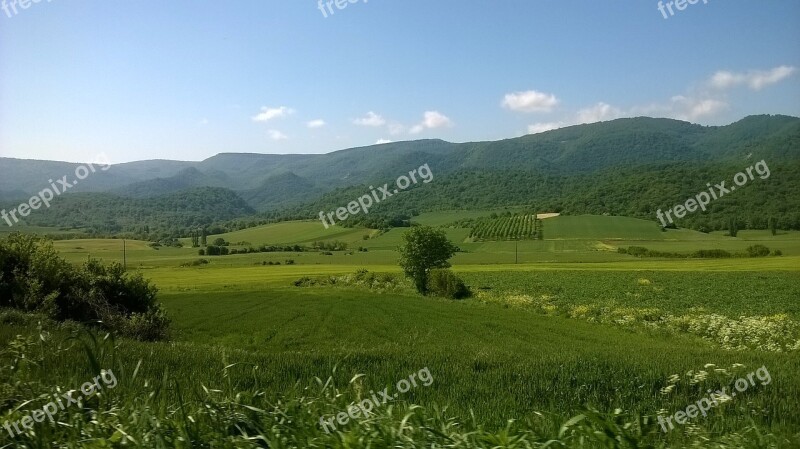 Nature Valley Countryside Prado Free Photos