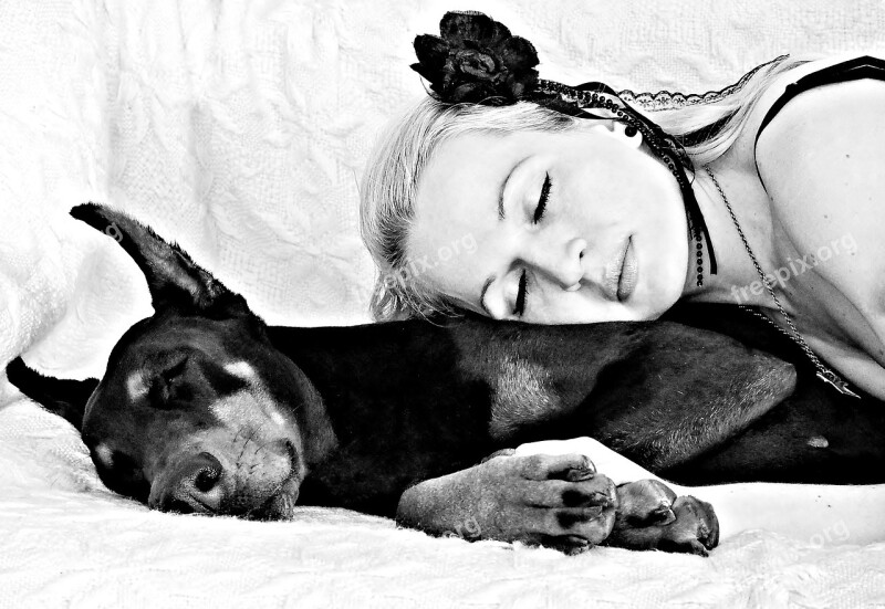 Black White Dog Blonde Woman Doberman Sleep