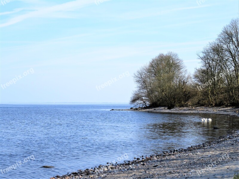 Sea Lake Danish Baltic Sea Coast Little Bay Stony Underground