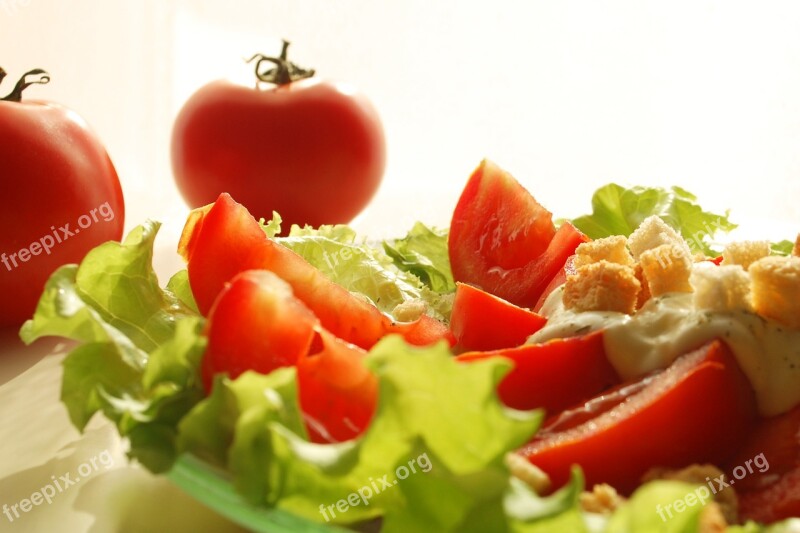 Salad Dish Tomato Dinner Food