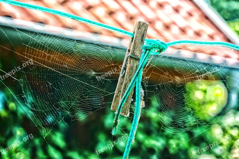 Spider Webs Clothes Peg Time Autumn Transience