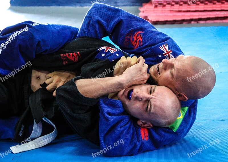 Jiu-jitsu Fight Martial Arts Wrestling Bjj