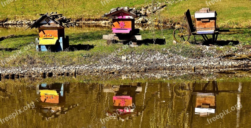 Bee Hives Wood Bees Wild Bees Animals