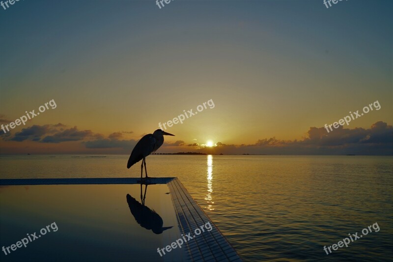 Sunrise Sea Sky Maldives Solar