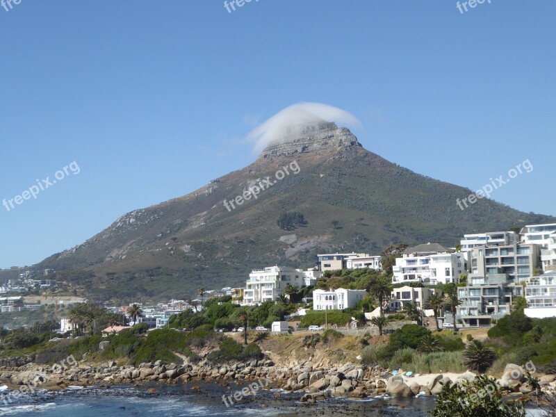 Cape Town Lion Head South Africa Free Photos