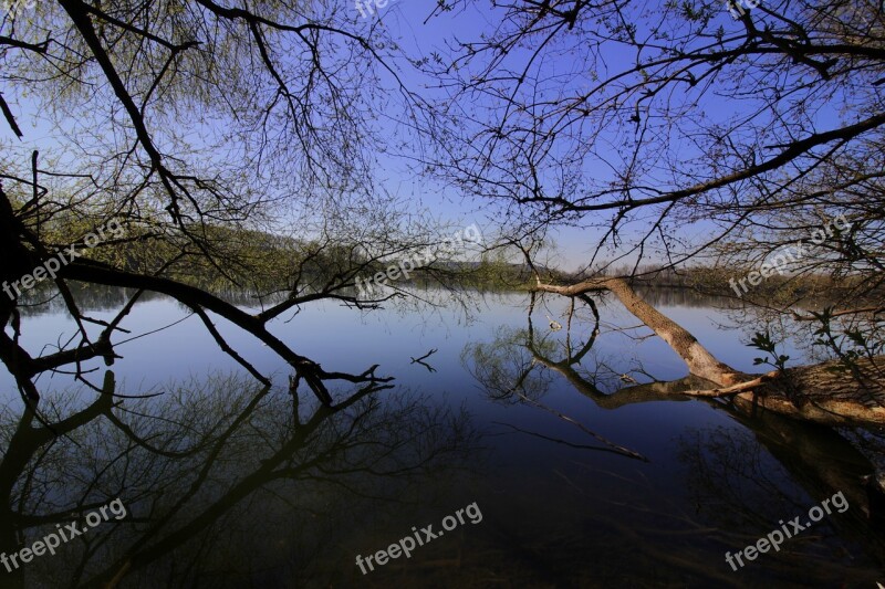 Aesthetic Beaver Water Lake Blue