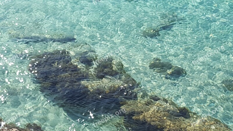 Malta Sea Nature Water Beach