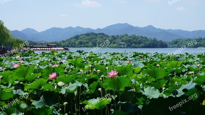 West Lake Hangzhou China Free Photos