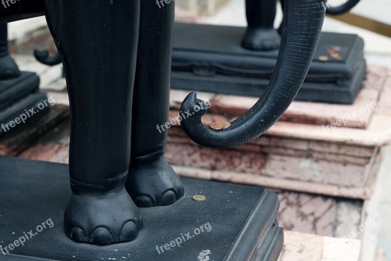 Thailand Elephant More Coin Idol Free Photos