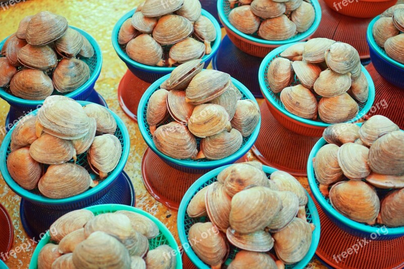 Busan Jagalchi Market The Fish Market Clam Free Photos