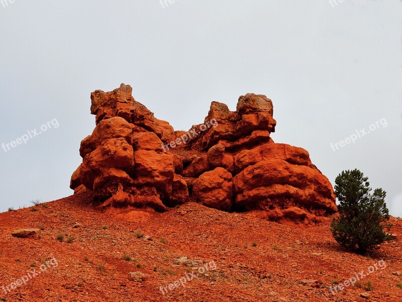 Red Canyon Rock Red Nature Usa