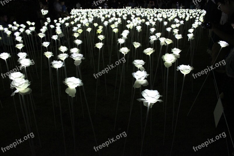 Rose Night View White Roses Artificial Flowers