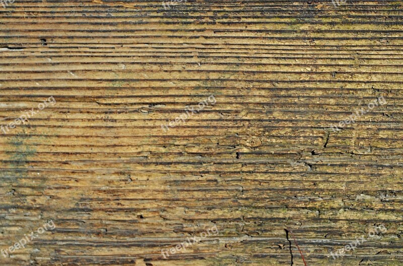 Wood Board Texture The Background Wooden