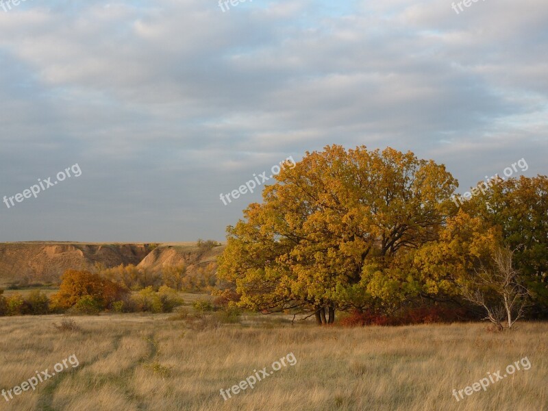 Nature Autumn Irina Steppe Oak