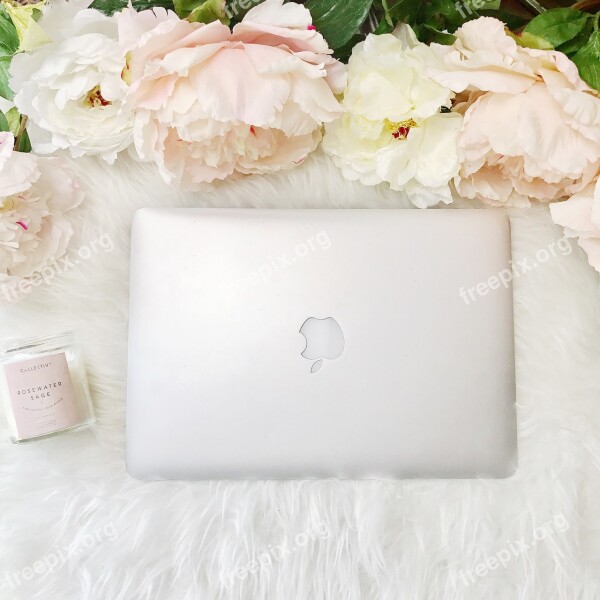 Macbook Laptop Peonies Overhead Business