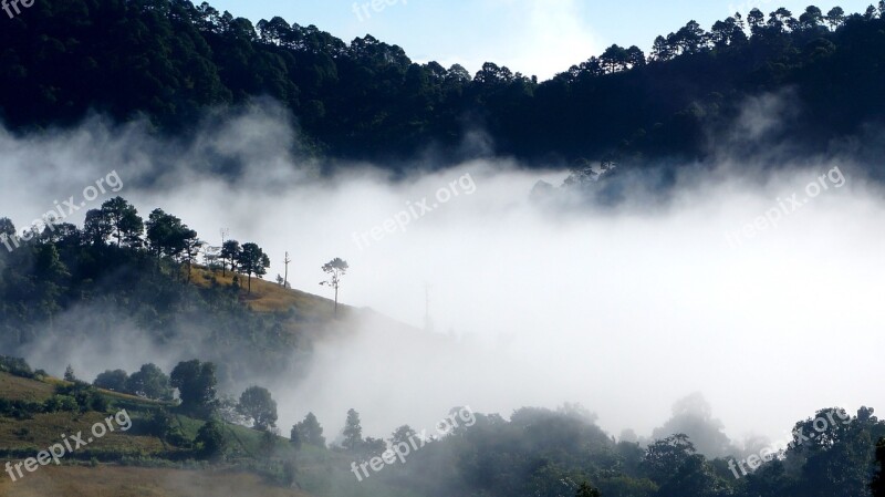 Fog Landscape Mist Foggy Nature