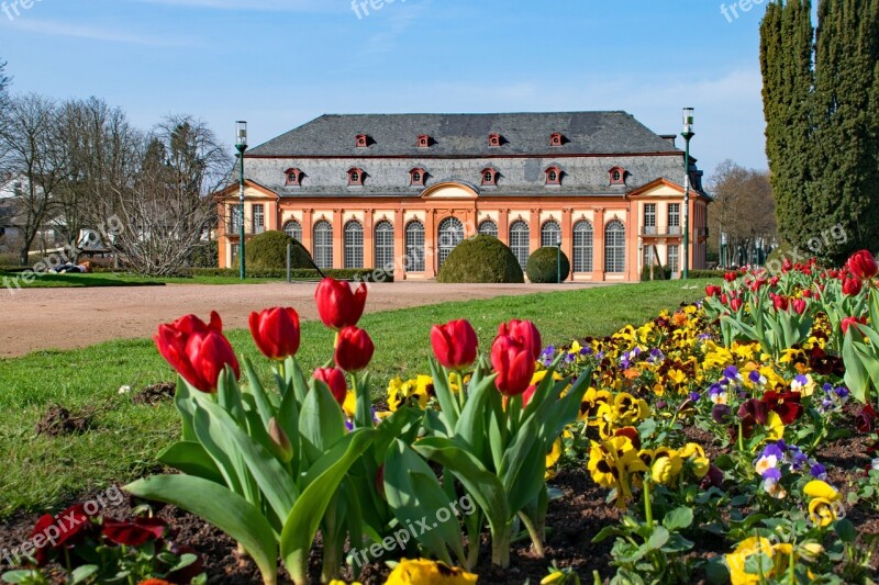 Darmstadt Hesse Germany Spring Flowers