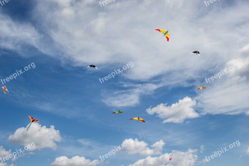 Kites Sky Clouds Summer Clear