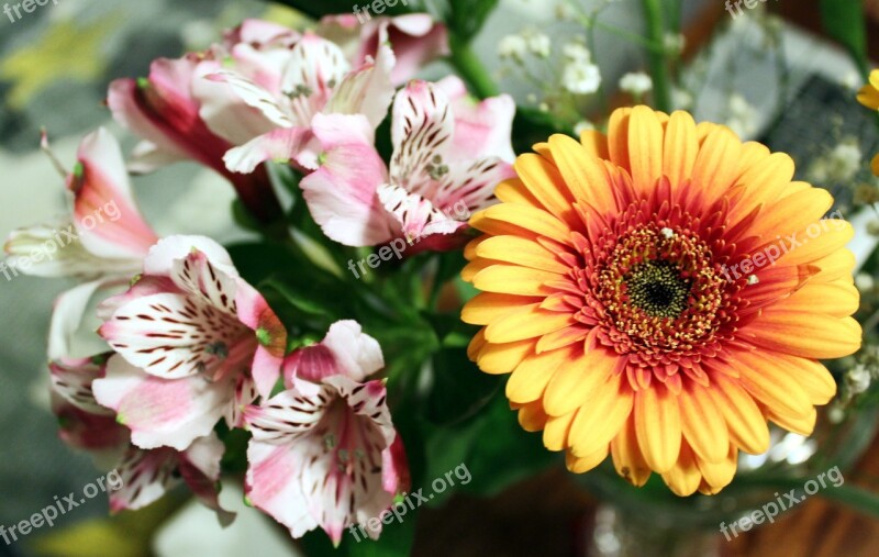 Flowers Bouquet Floral Bouquet Beautiful Flowers Yellow Flowers