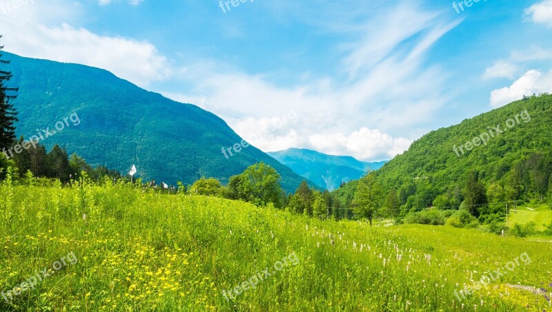 Slovenia Alpine Mountains Meadow Nature