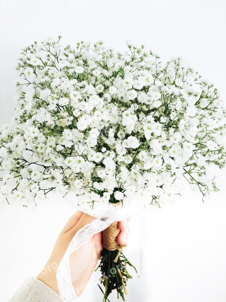 Gypsophila Elegans Flowers Bouquet Ornament Props