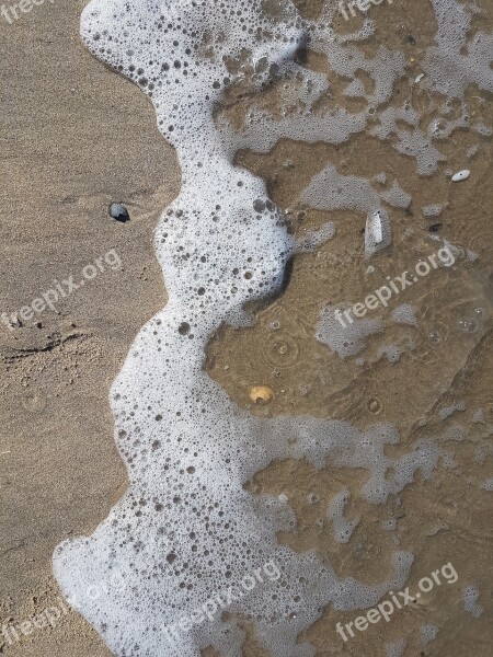 Shell Sand Beach Sea Branding