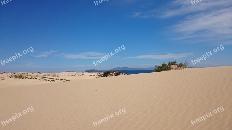 Dunes Sand Corralejo The Olive Fuerteventura