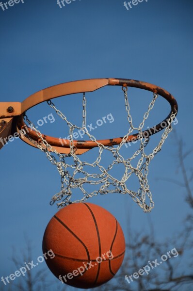 Basketball Ball Sport Game Competition