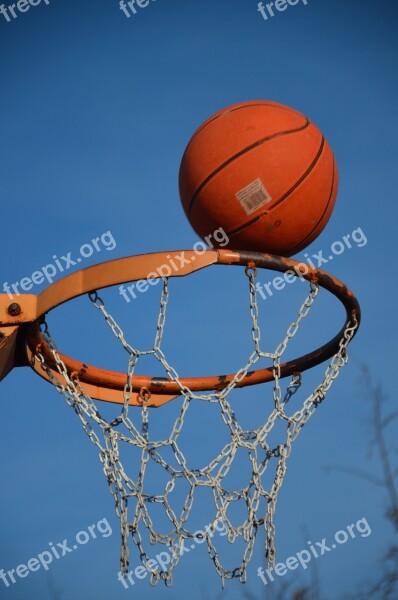 Basketball Ball Sport Game Competition