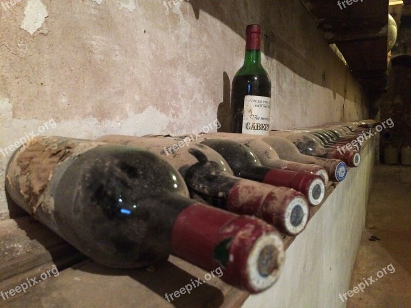 Wine Bottle Cellar Old Collection