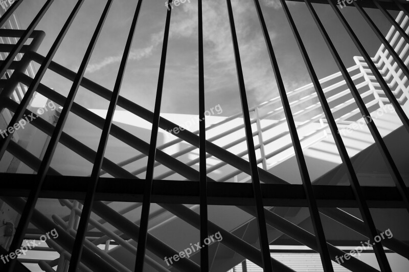 Architecture Lines Black And White Abstract Fine Art