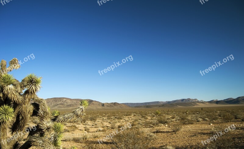 Desert Landscape Cactus Blue Sky Mountains