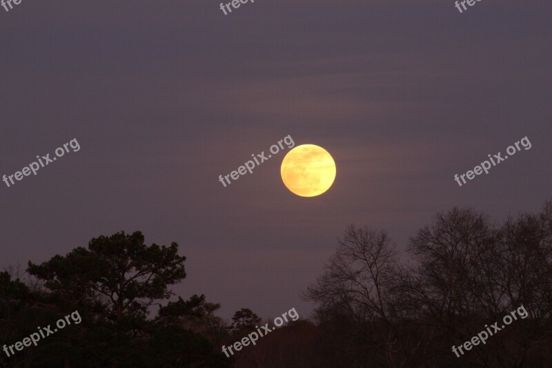 Full Moon Moonrise Sky Night Dusk