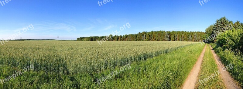 Lane Field Away Nature Landscape