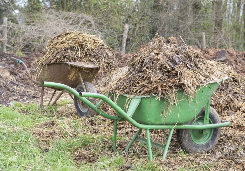 Manure Wheelbarrow Wheelbarrows Waste Agriculture